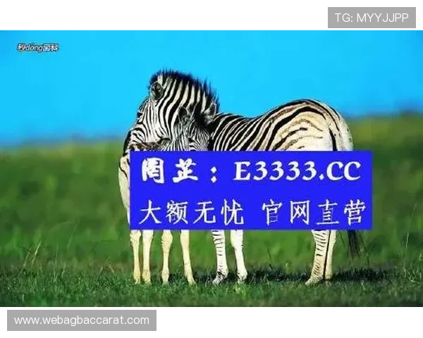 探秘AG试玩网官网提供的丰富试玩游戏资源与下载途径详解新手快速上手攻略