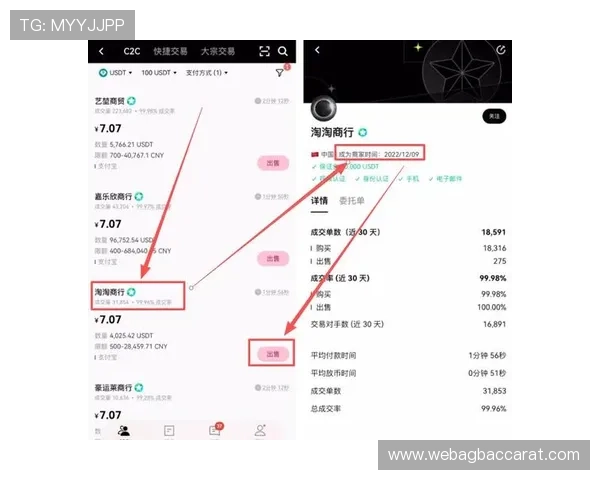 电子游艺ag支付方式多样化支持多平台快速充值与提现服务