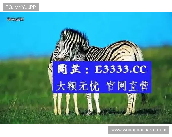 AG真人集团官网安全保障措施全面解析，确保玩家资金与个人信息安全无忧的最佳选择