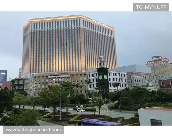 威尼斯人真人娱乐高额返水政策解析帮助玩家实现收益最大化