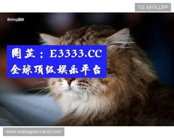 探索最新的AG真人官网入口，全面提升您的在线娱乐体验与安全保障