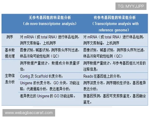 欧博真人足球注册流程详解:新手快速入门的完整操作指南 欧博真人足球注册流程详解:新手快速入门的完整操作指南