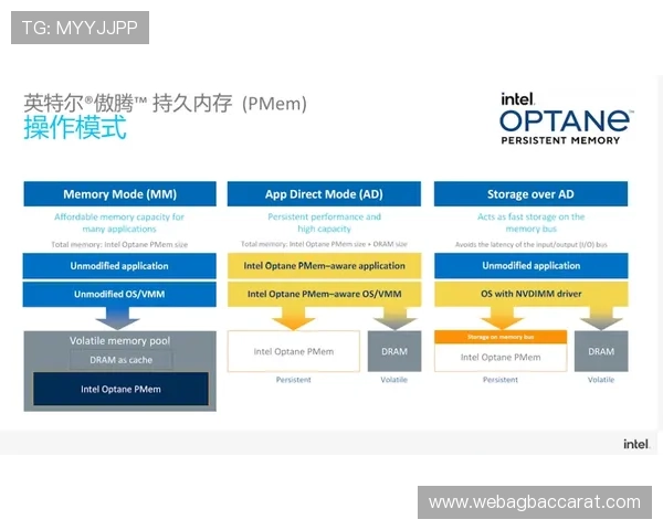详细介绍K8视讯入口的多平台支持情况，满足不同设备用户的多样化需求